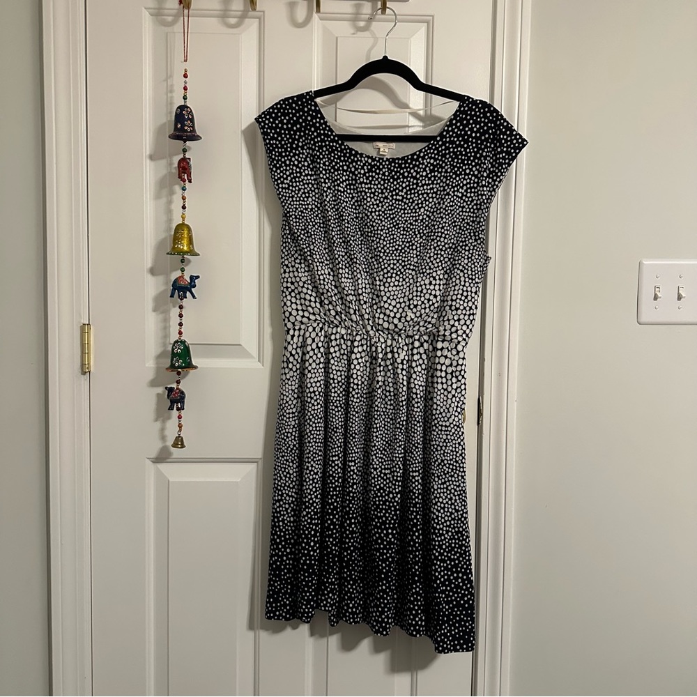 GAP- Navy and White Dot Dress